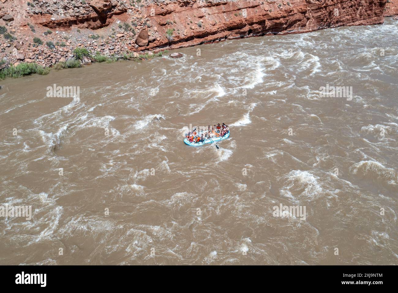 Touristen genießen eine geführte Rafting-Tour durch die großen Wellen in White's Rapid auf dem Colorado River am Hochwasser. Moab, Utah. Stockfoto