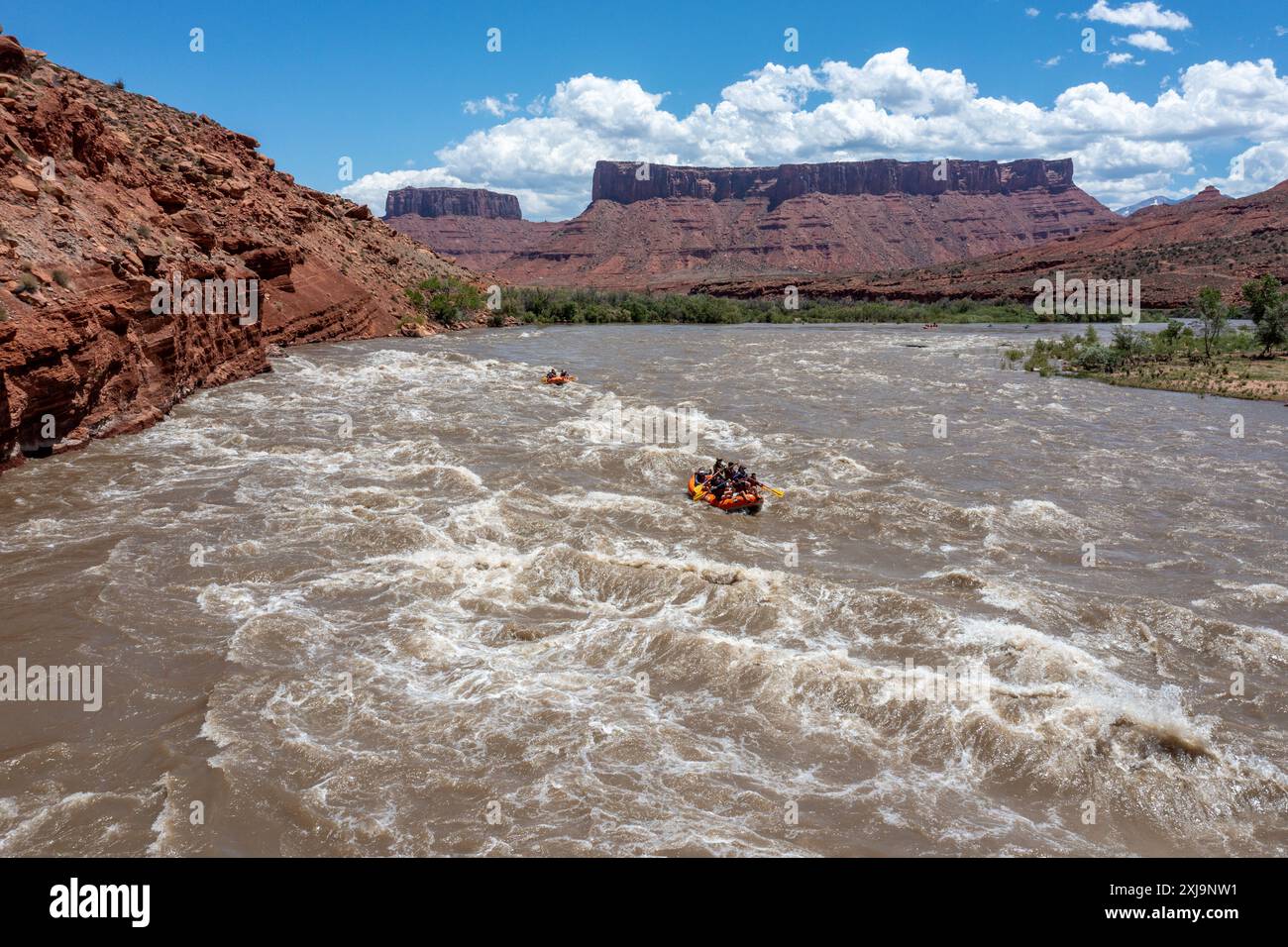 Touristen genießen eine geführte Rafting-Tour durch die großen Wellen in White's Rapid auf dem Colorado River am Hochwasser. Moab, Utah. Stockfoto