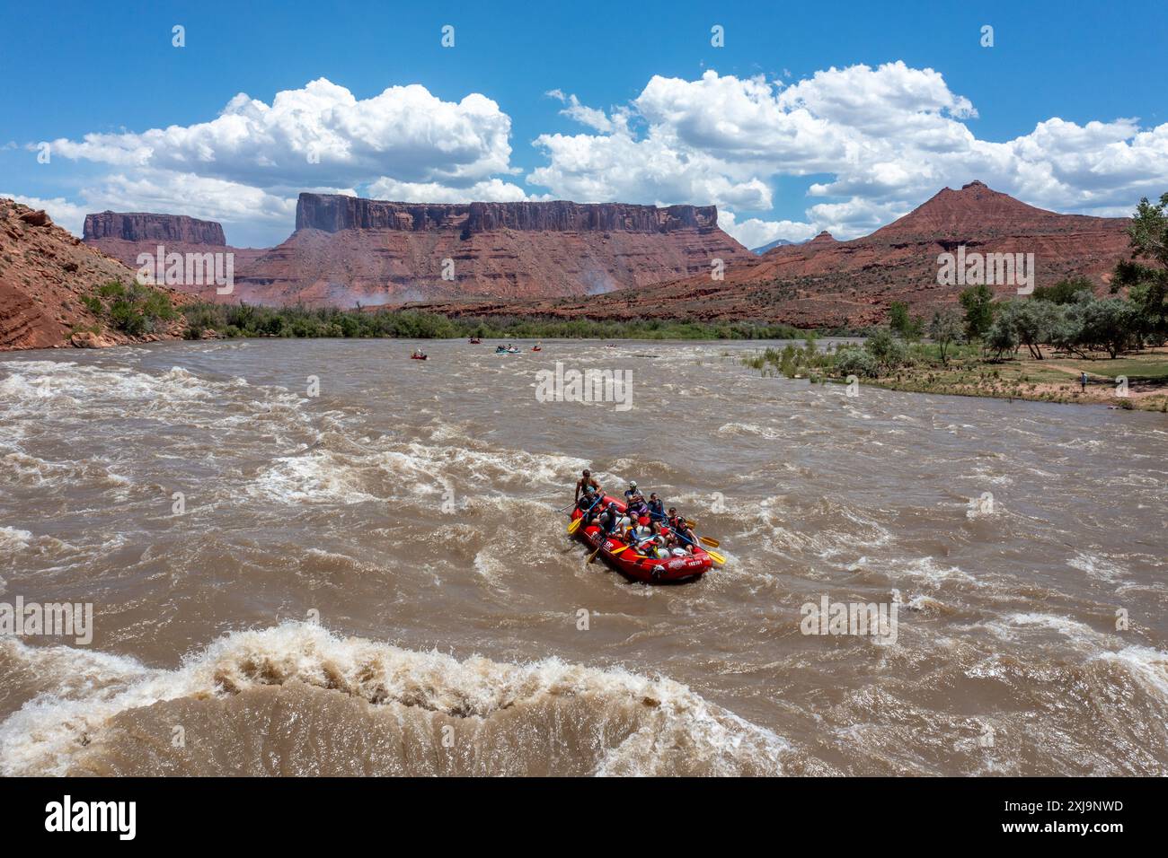 Touristen genießen eine geführte Rafting-Tour durch die großen Wellen in White's Rapid auf dem Colorado River am Hochwasser. Moab, Utah. Stockfoto