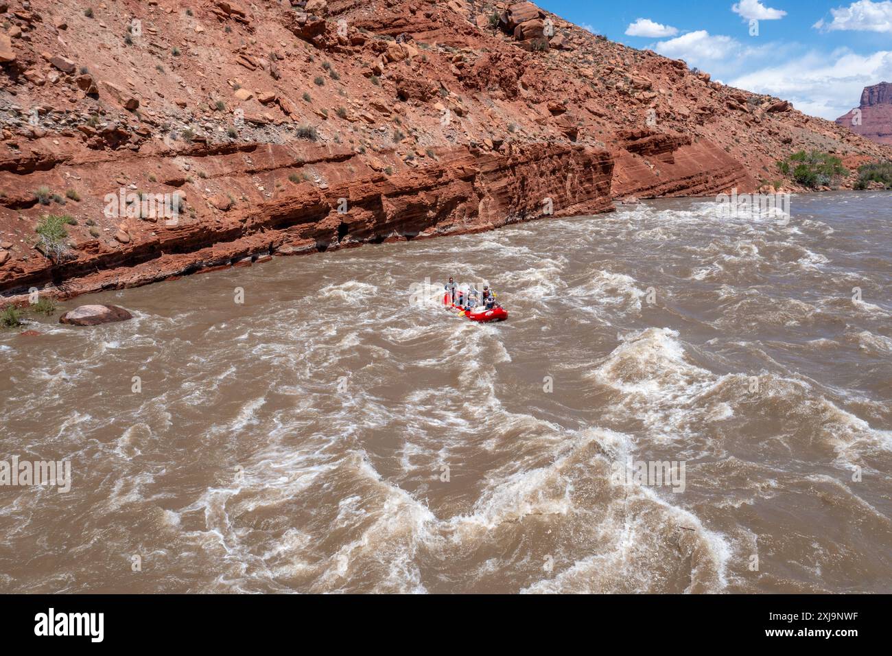 Touristen genießen eine geführte Rafting-Tour durch die großen Wellen in White's Rapid auf dem Colorado River am Hochwasser. Moab, Utah. Stockfoto
