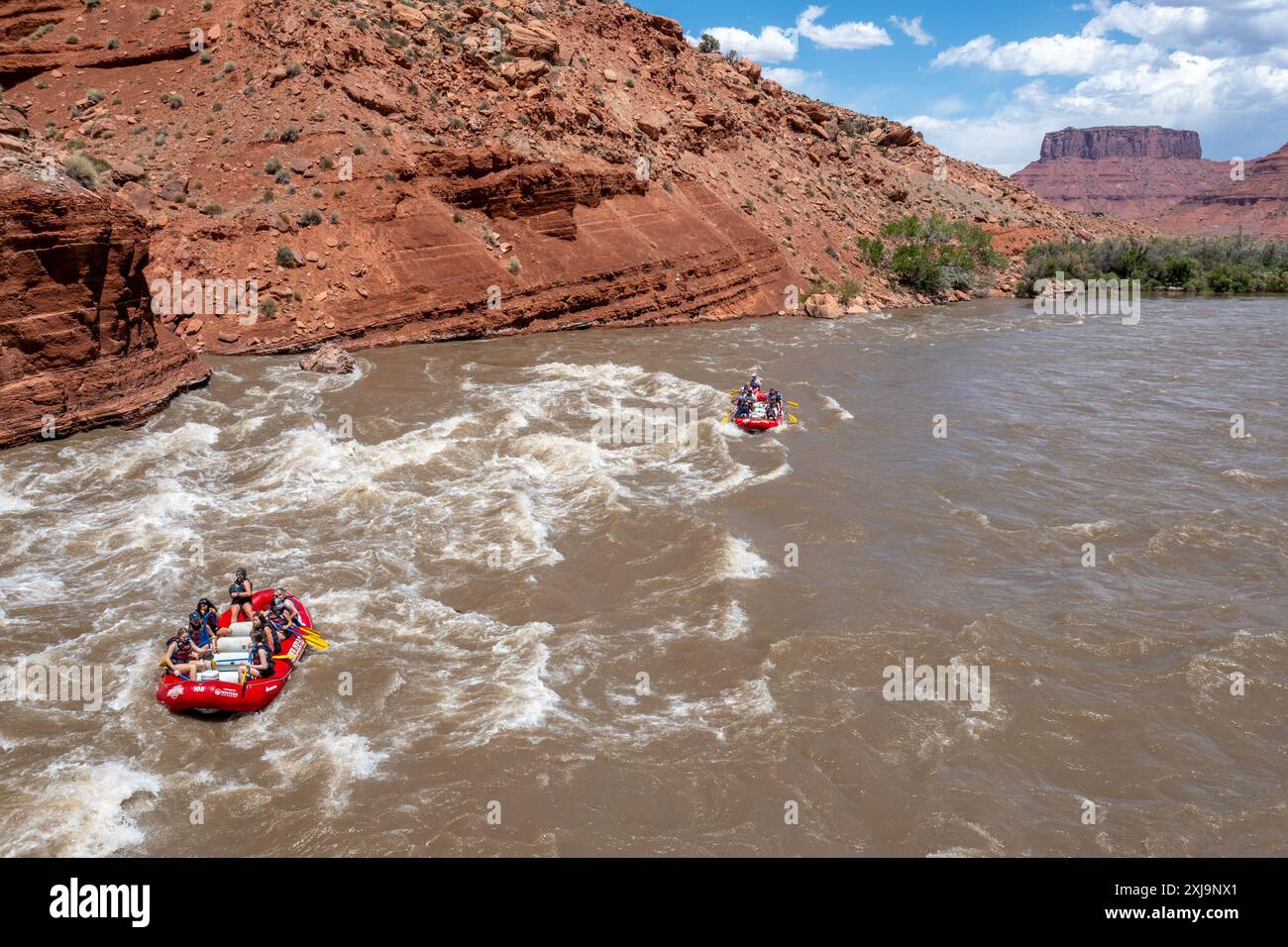 Touristen genießen eine geführte Rafting-Tour durch die großen Wellen in White's Rapid auf dem Colorado River am Hochwasser. Moab, Utah. Stockfoto