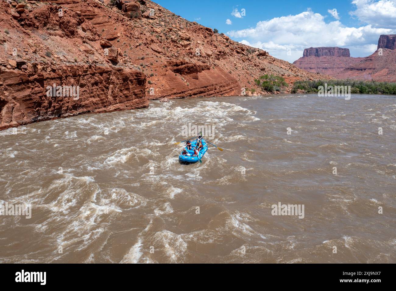 Touristen genießen eine geführte Rafting-Tour durch die großen Wellen in White's Rapid auf dem Colorado River am Hochwasser. Moab, Utah. Stockfoto