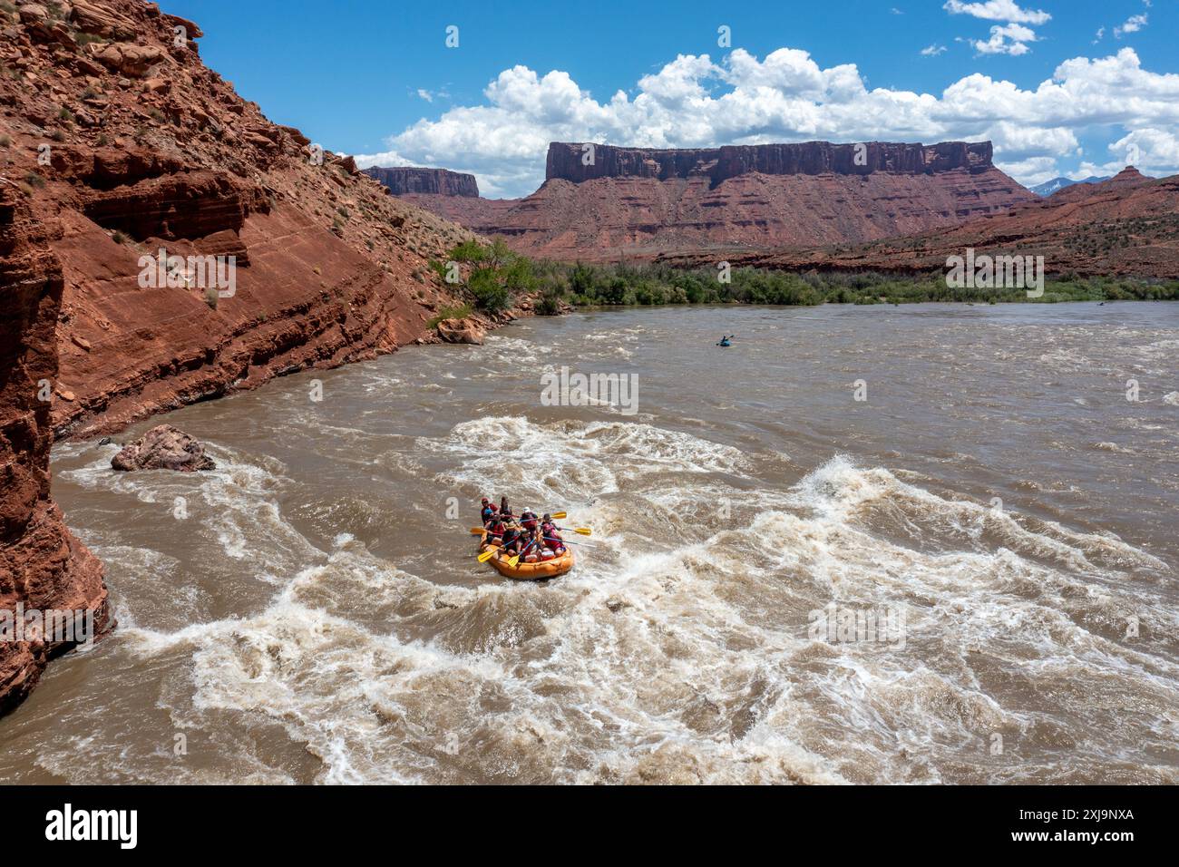 Touristen genießen eine geführte Rafting-Tour durch die großen Wellen in White's Rapid auf dem Colorado River am Hochwasser. Moab, Utah. Stockfoto