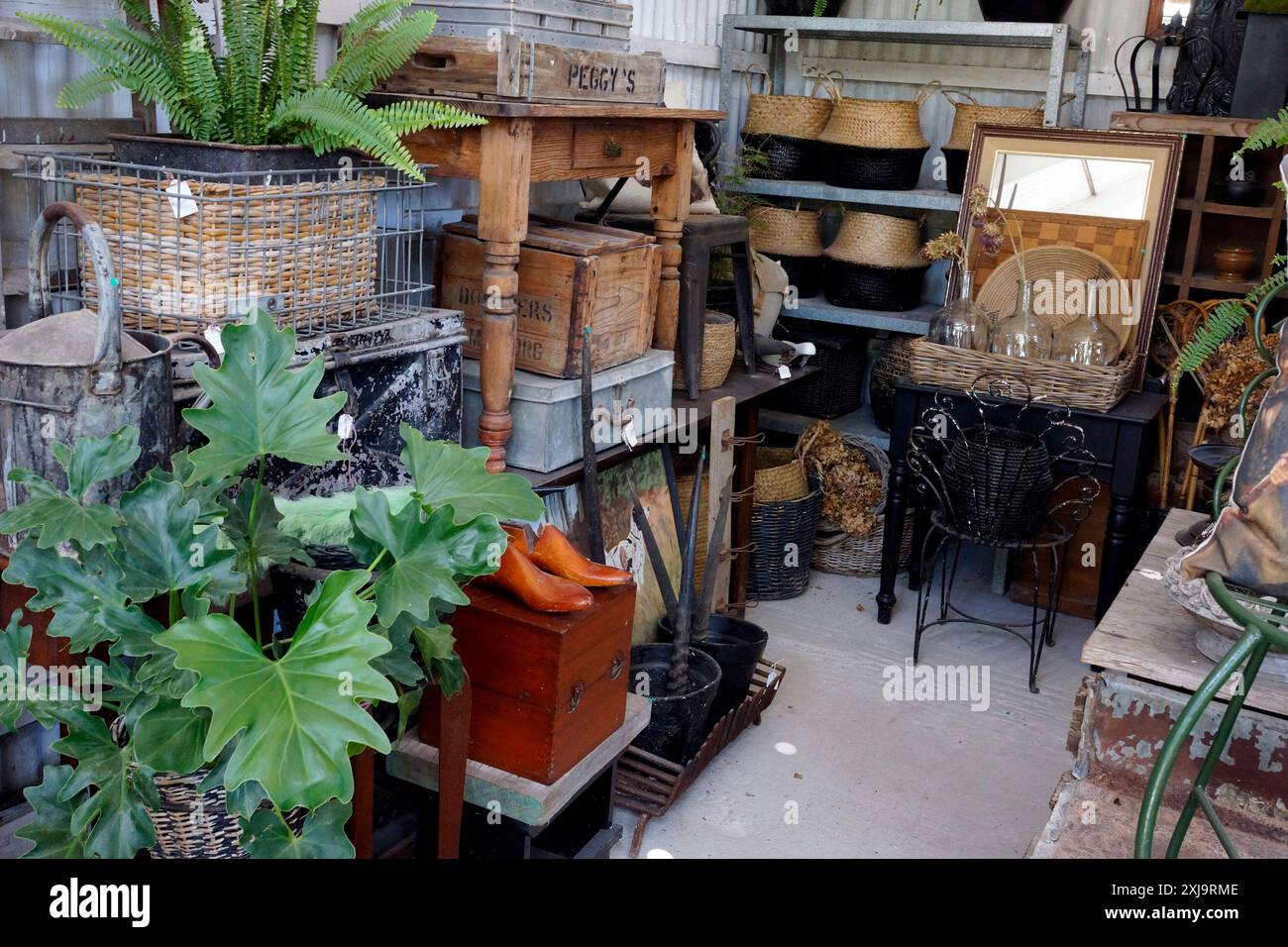 Barnhouse Antiquitätengeschäft und Dekorationsgeschäft, Peregrine Farm Store, Grabouw, Westprovinz, Südafrika. Stockfoto