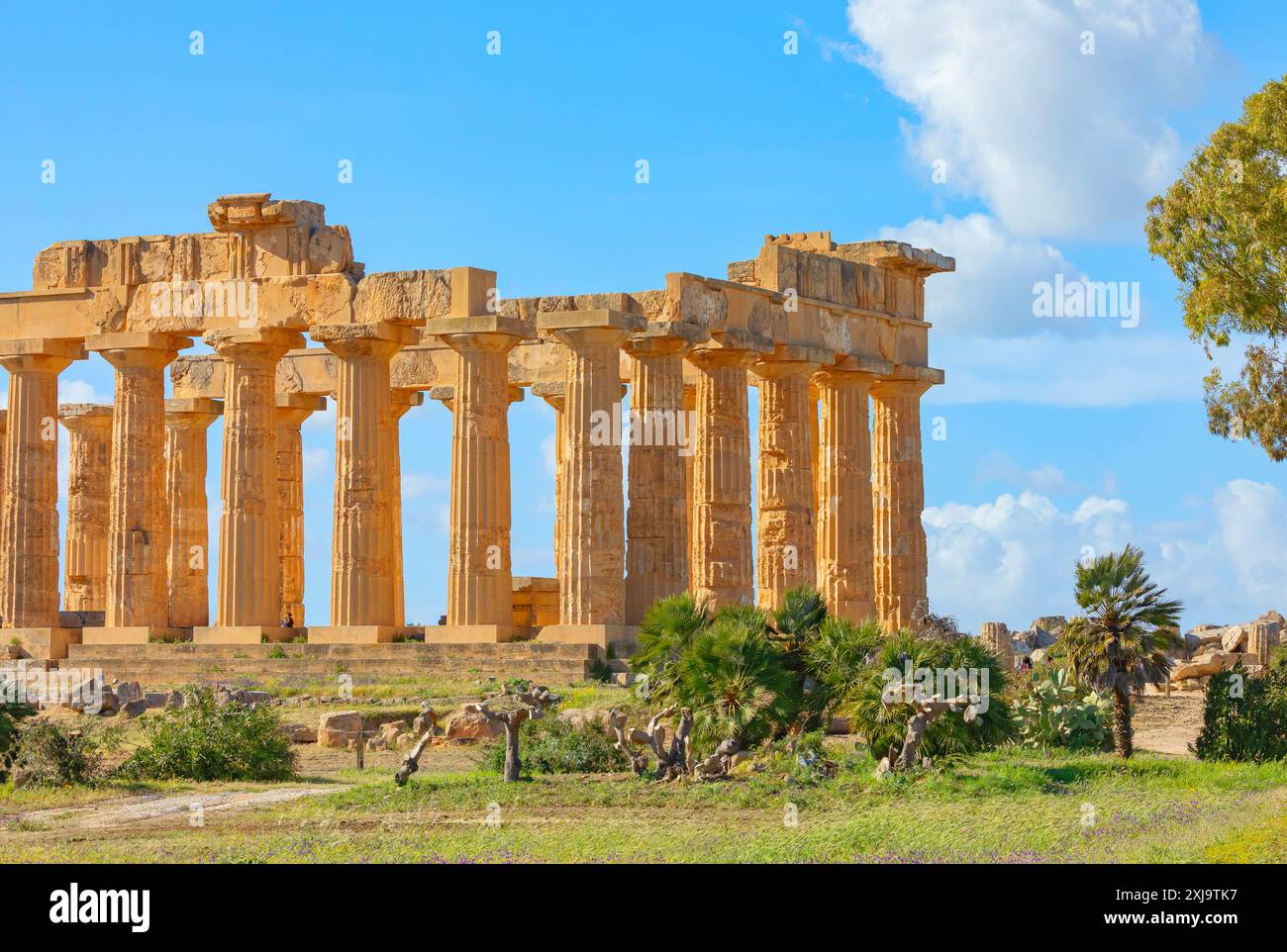 Tempel der Hera Tempel E, Selinunte Archäologischer Park, Selinunte, Trapani Bezirk, Sizilien, Italien, Mittelmeer, Europa Copyright: MarcoxSimoni 718- Stockfoto