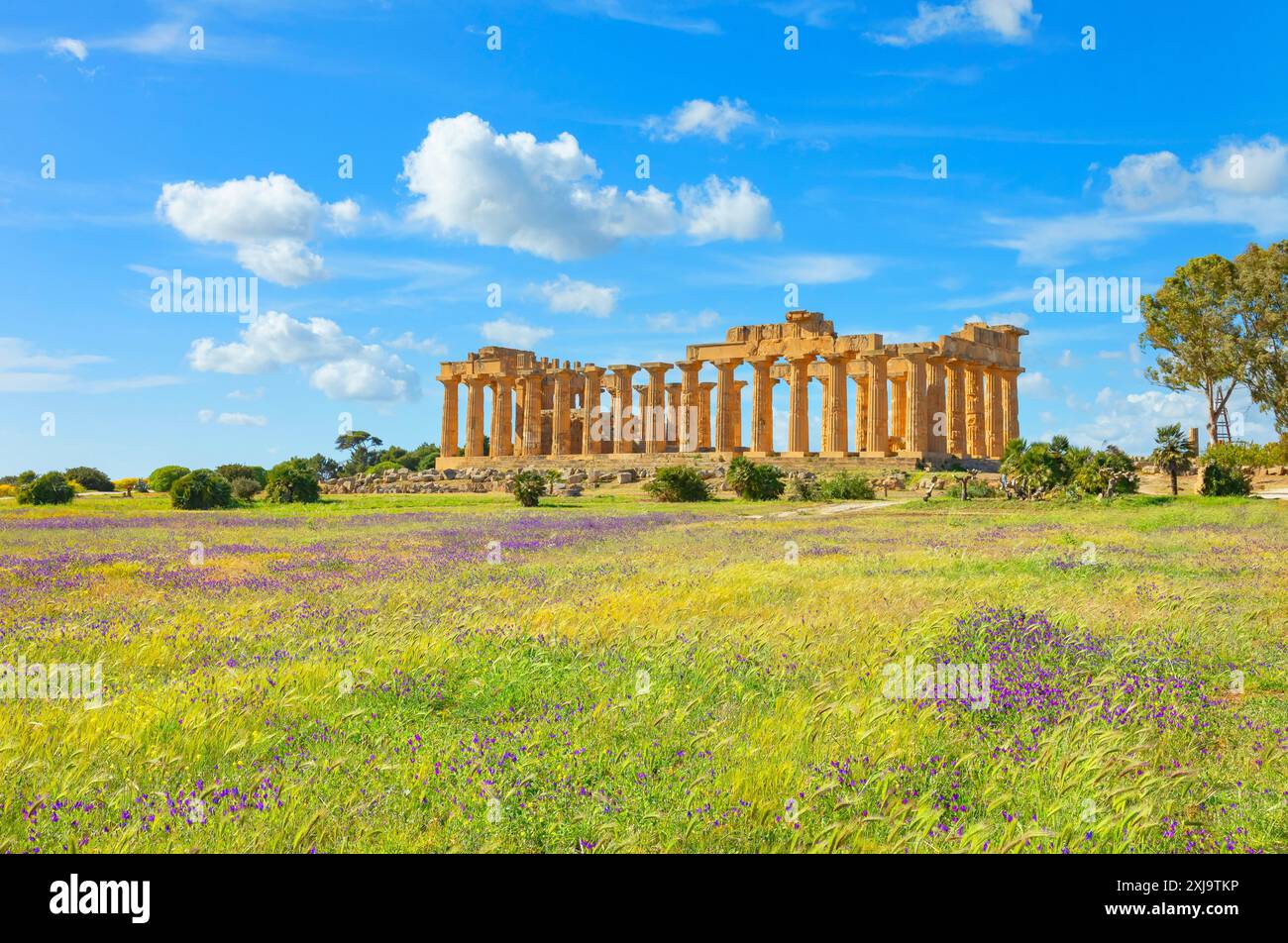 Tempel der Hera Tempel E, Selinunte Archäologischer Park, Selinunte, Trapani Bezirk, Sizilien, Italien, Mittelmeer, Europa Copyright: MarcoxSimoni 718- Stockfoto