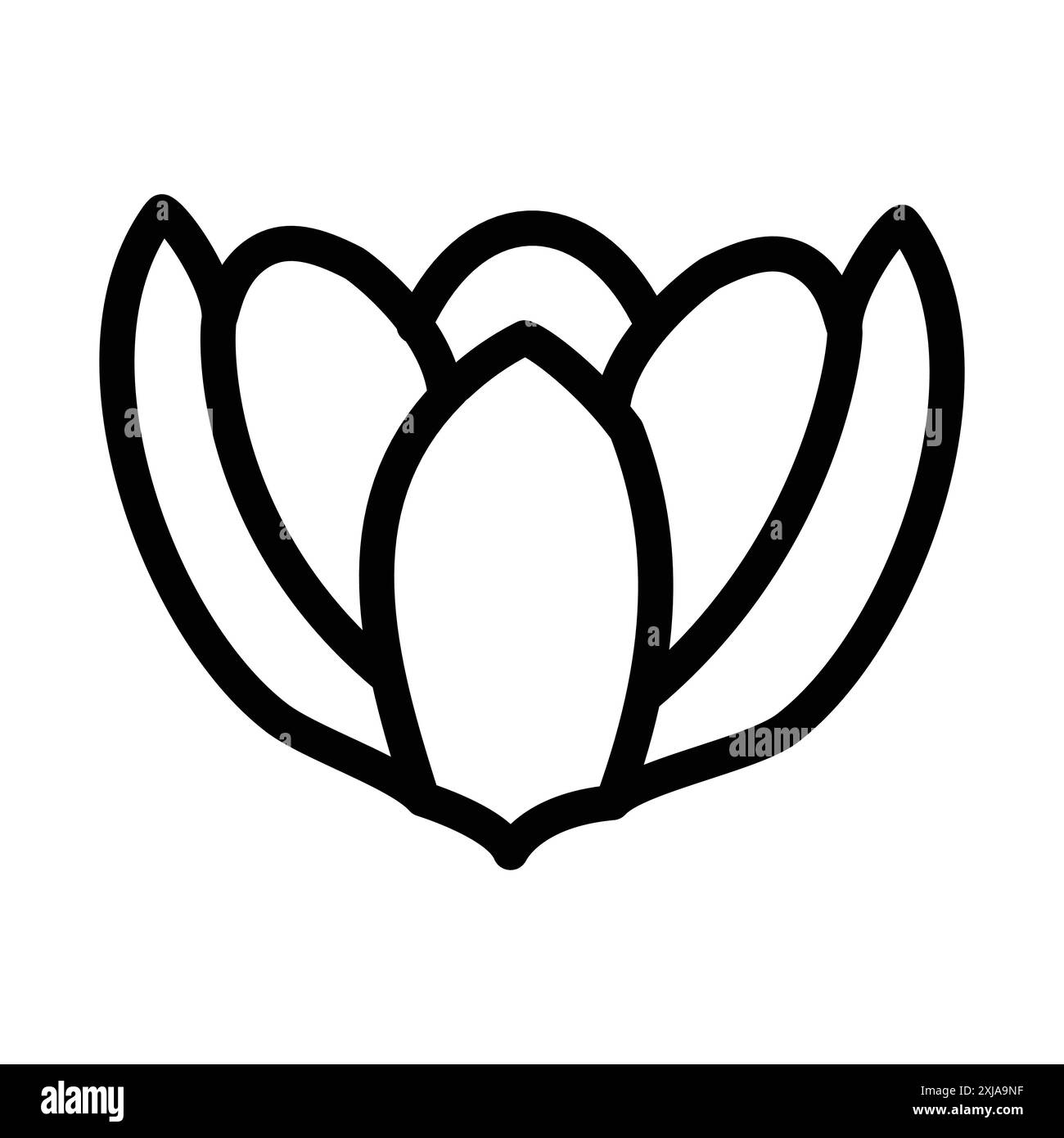 Crocus-Symbol in dünner Linienkontur und linearem Vektorzeichen Stock Vektor
