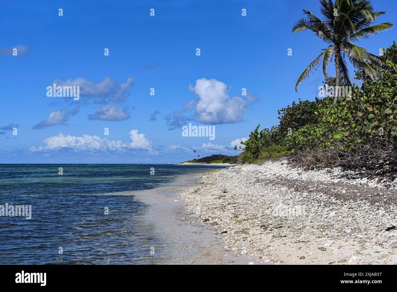 Landschaft eines karibischen Inselstrandes ohne Menschen oder menschliche strutures mit wunderschönem blauen Himmel. Stockfoto