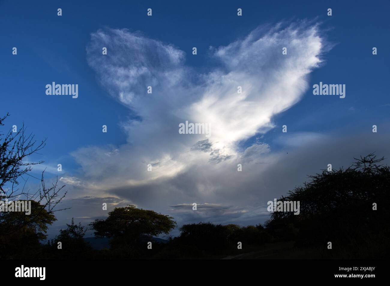 Winde in großer Höhe haben einen hohen Cumulonimbus zum Einsturz gebracht, als sich der Gipfel schnell zerstreute und die Energie ableitete. Stockfoto