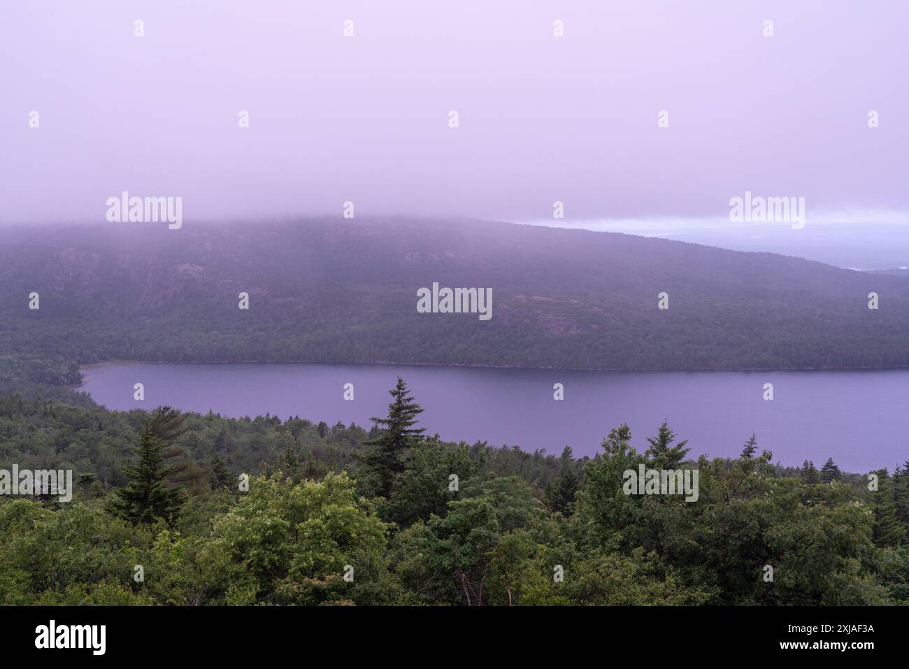 Nebel über dem Eagle Mountain auf dem Cadillac Mt., Acadia National Park, Mainr Stockfoto