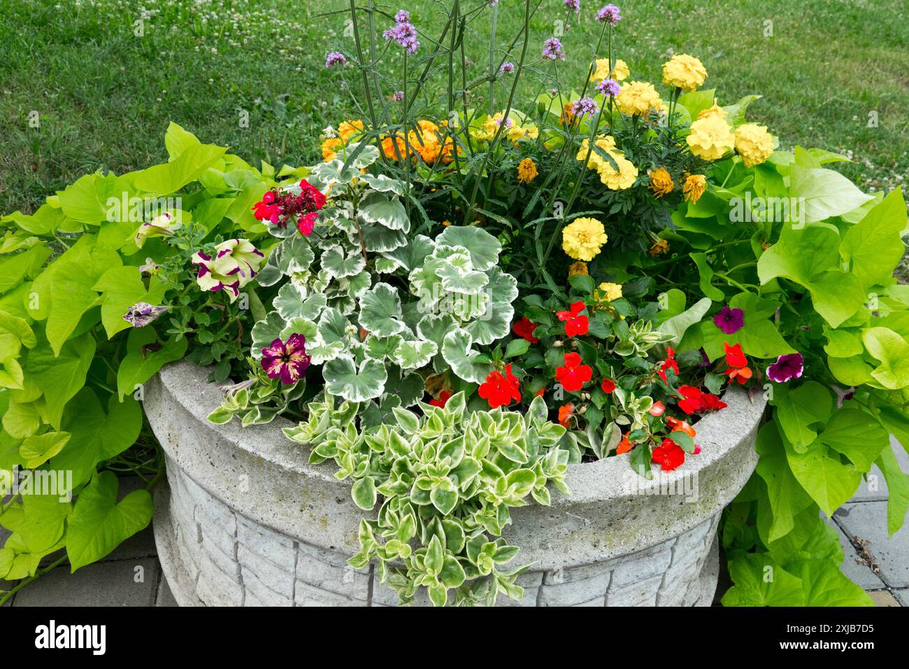 Ein pulsierender Steintopf mit einer Vielzahl von bunten Blumen und üppigem grünem Laub auf einer Terrasse Stockfoto