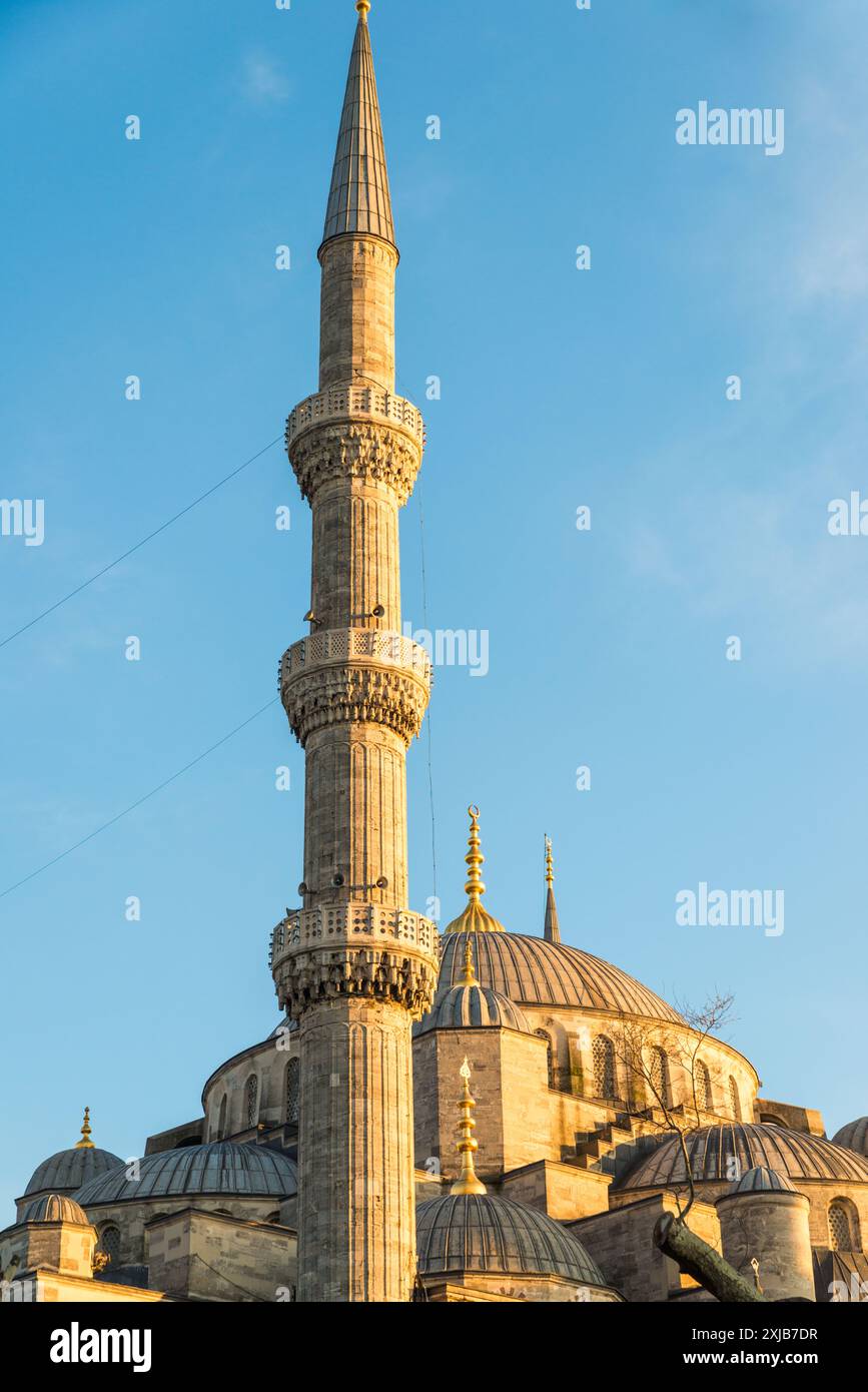Blaue Moschee / Sultan Ahmed Moschee / Sultan Ahmet Camii in Istanbul, Türkiye Stockfoto
