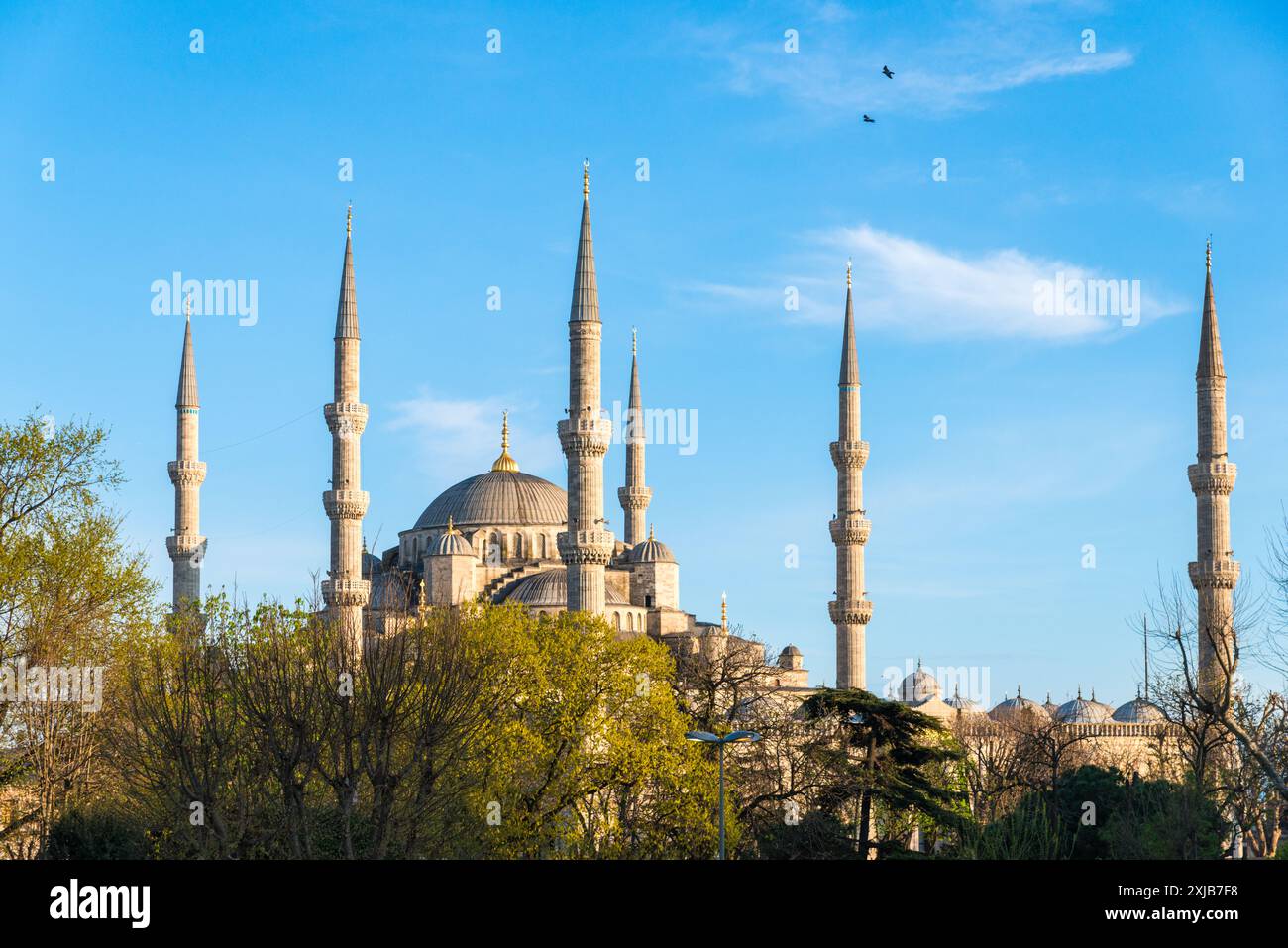 Blaue Moschee / Sultan Ahmed Moschee / Sultan Ahmet Camii in Istanbul, Türkiye Stockfoto