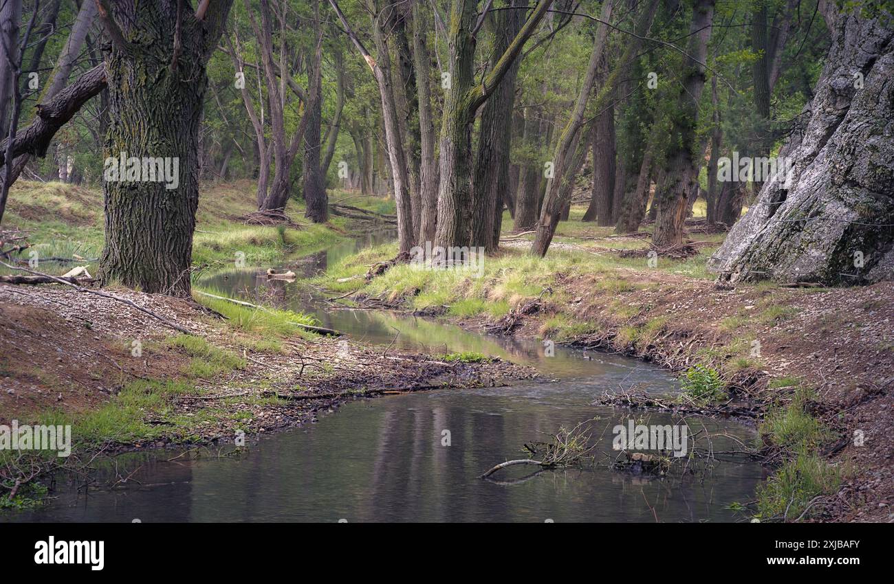 Ruhiger Blick auf den Aliaga-Flussweg in Teruel, Spanien, umgeben von üppigem Grün und ruhiger Natur. Ideal für Natur- und Reisekonzepte. Stockfoto