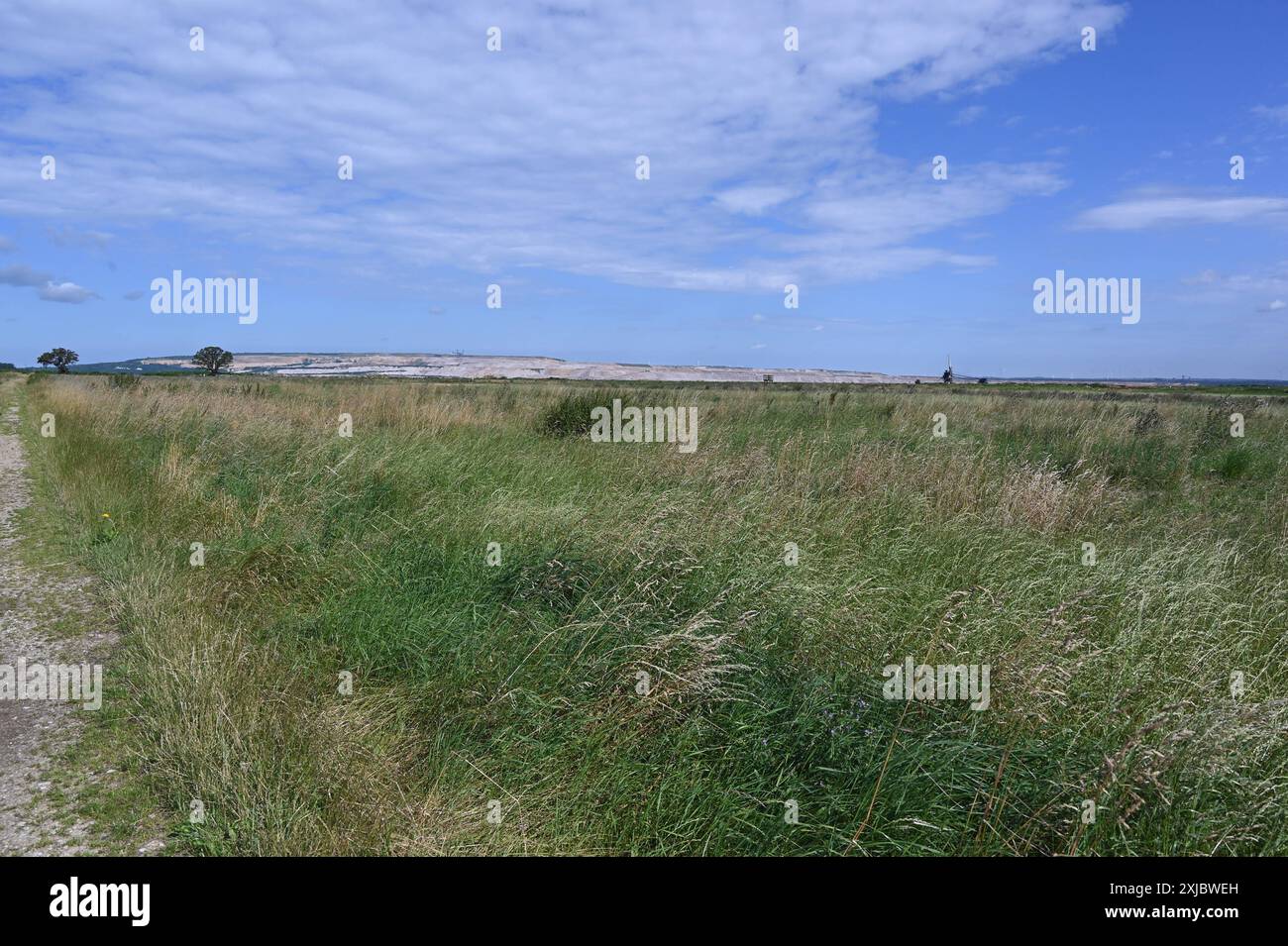 Eine Wildwiese, Brachland und im Hintergrund Braunkohle Abbau Hambach *** Eine Wildwiese, Brachland und Braunkohle Hambach im Hintergrund Stockfoto