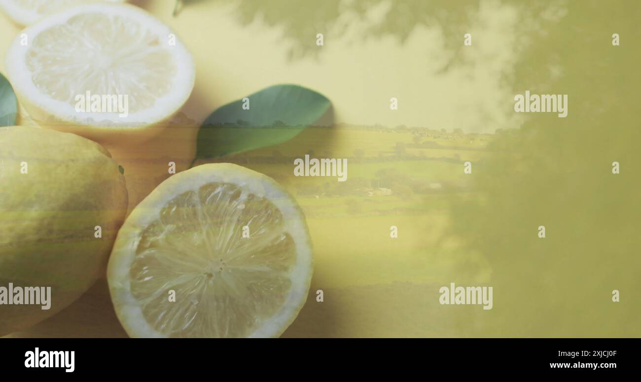 Landschaftszusammensetzung über geschnittenem Zitronenhintergrund Stockfoto