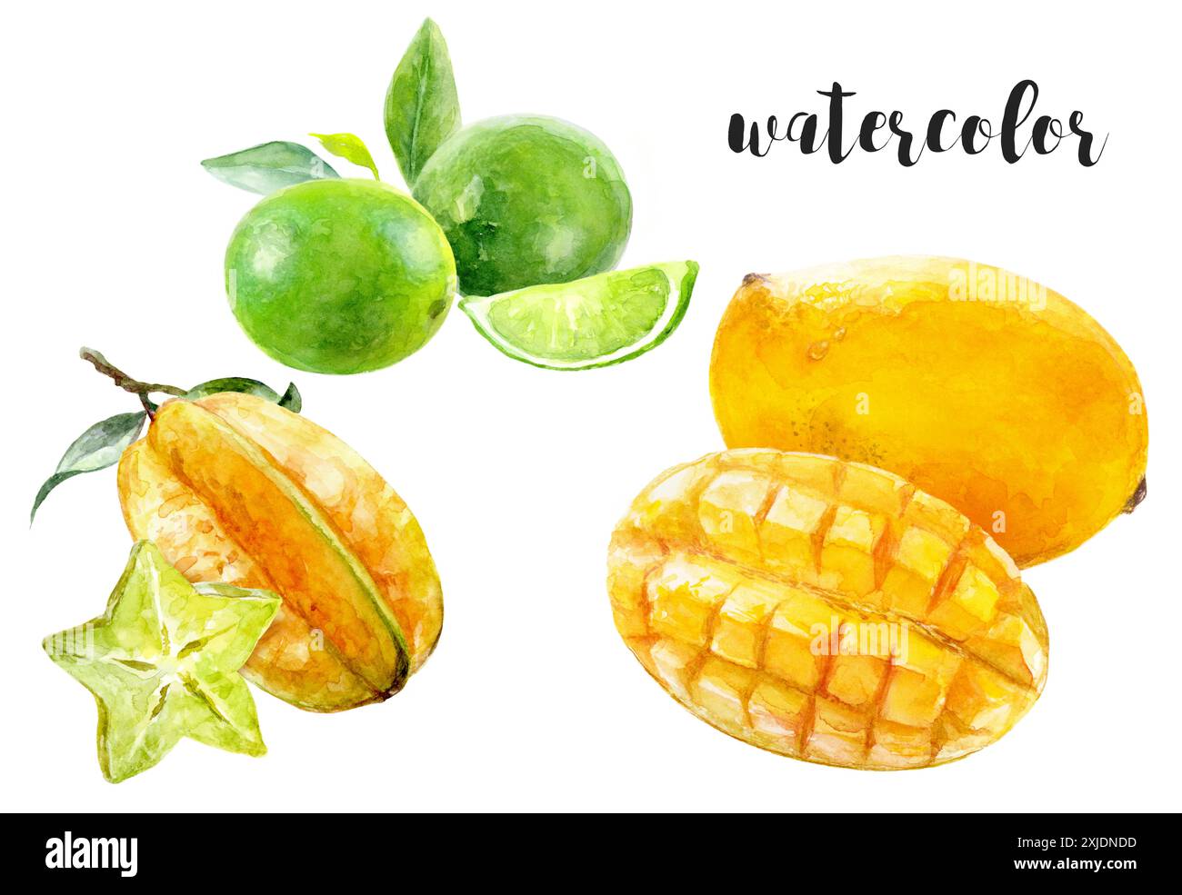Lebendige Aquarellabbildungen von Mango, Limette und Sternenfrüchten für lebendige Sommermotive Stockfoto