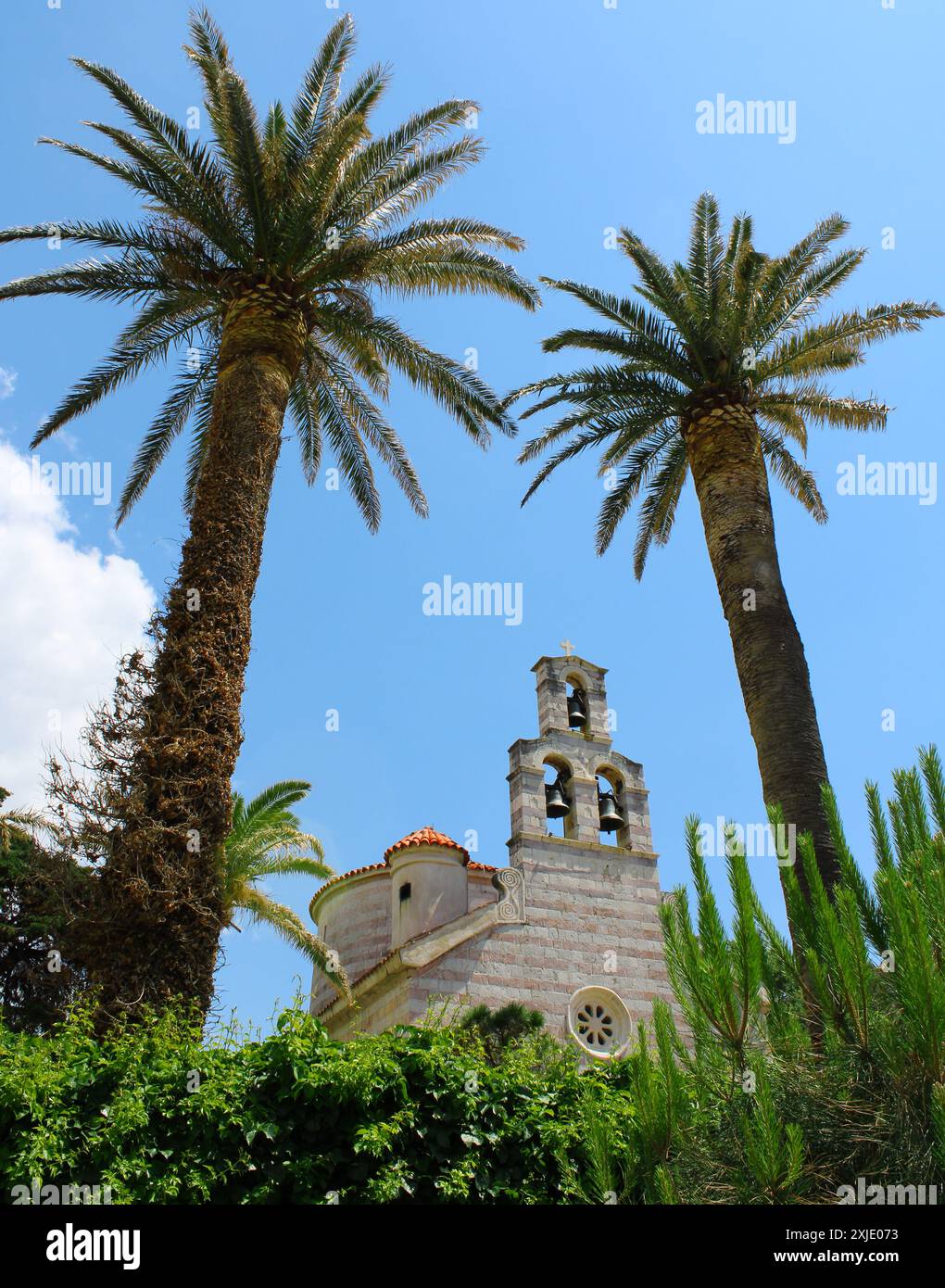 Orthodoxe Kirche der Heiligen Dreifaltigkeit in der Altstadt von Budva, Montenegro. Altes Gebäude, umgeben von Palmen an einem sonnigen Tag Stockfoto