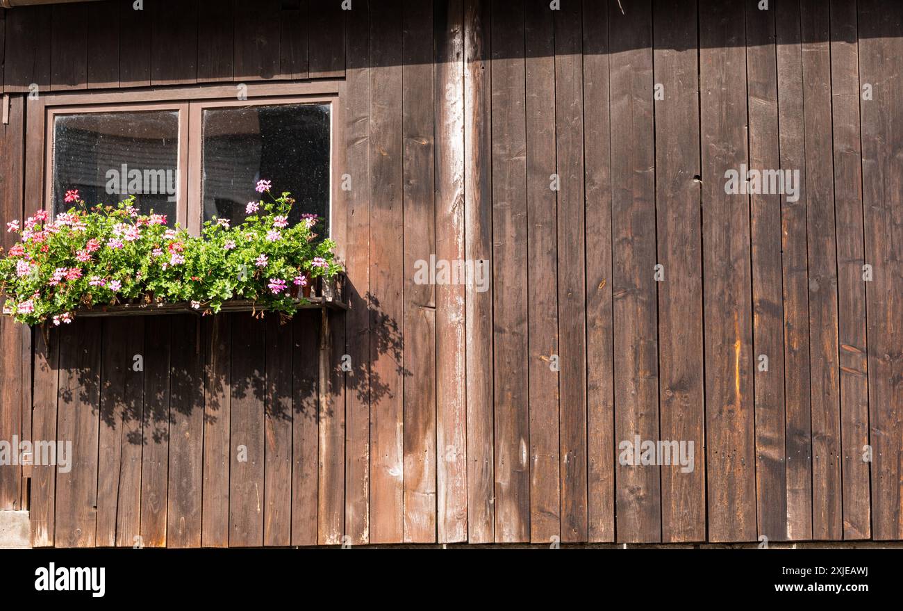 Holzwand im alten Haus mit Fenster und Blumen. Alte ländliche Architektur. Braune Bretter. Außenwand aus Brettern. Stockfoto
