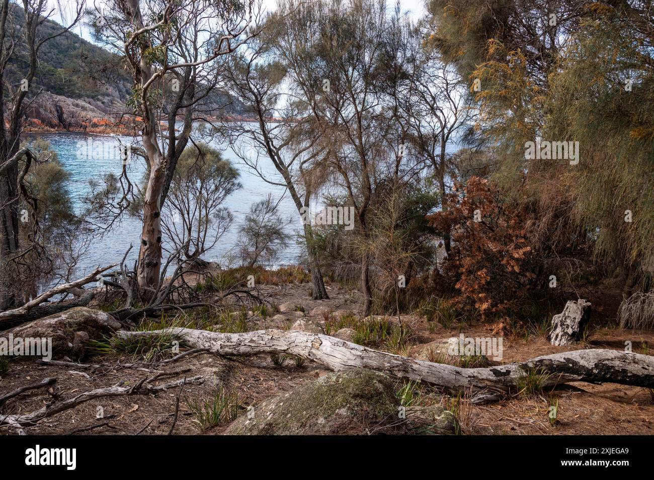 Der Sleepy Bay Track mit Blick auf die Tasman Sea schlängelt sich hinunter zur Sleepy Bay in der Nähe der Coles Bay an der Ostküste der Freycinet Peninsula in Tasmanien, Aust Stockfoto