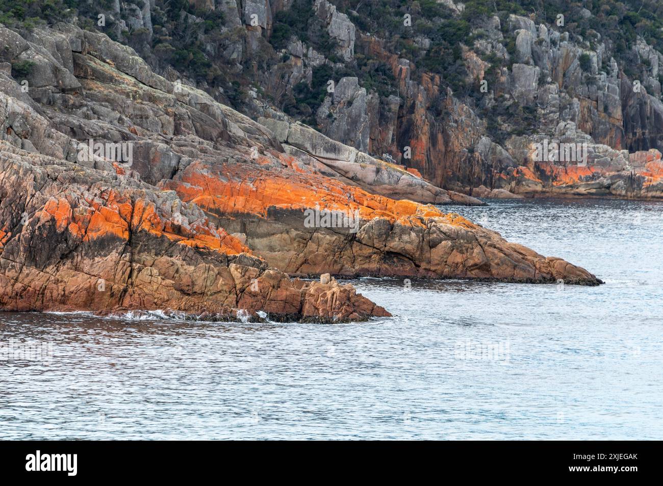 Vom Sleepy Bay Track zur Sleepy Bay nahe Coles Bay an der Ostküste der Freycinet Peninsula in Tasmanien, Australien. Die Granitfelsen bedeckt Stockfoto