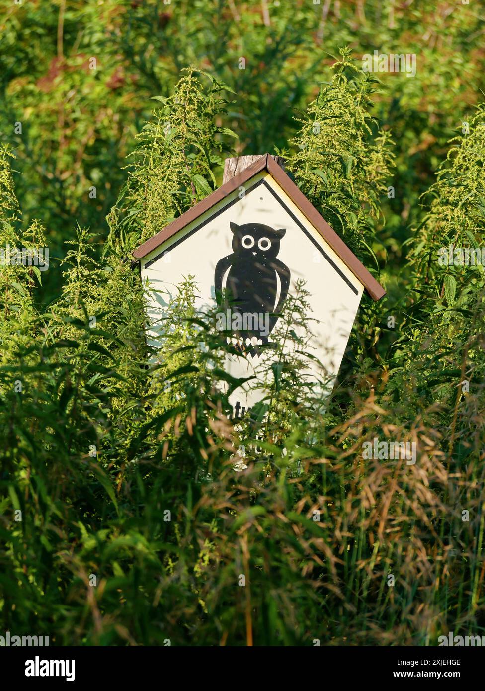 Ein gelbes Schild mit einer schwarzen Eule am Waldrand eines Naturschutzgebietes in Dresden. Gut sichtbar, zeigt er den Schutz der Natur und der Tierwelt an. Stockfoto