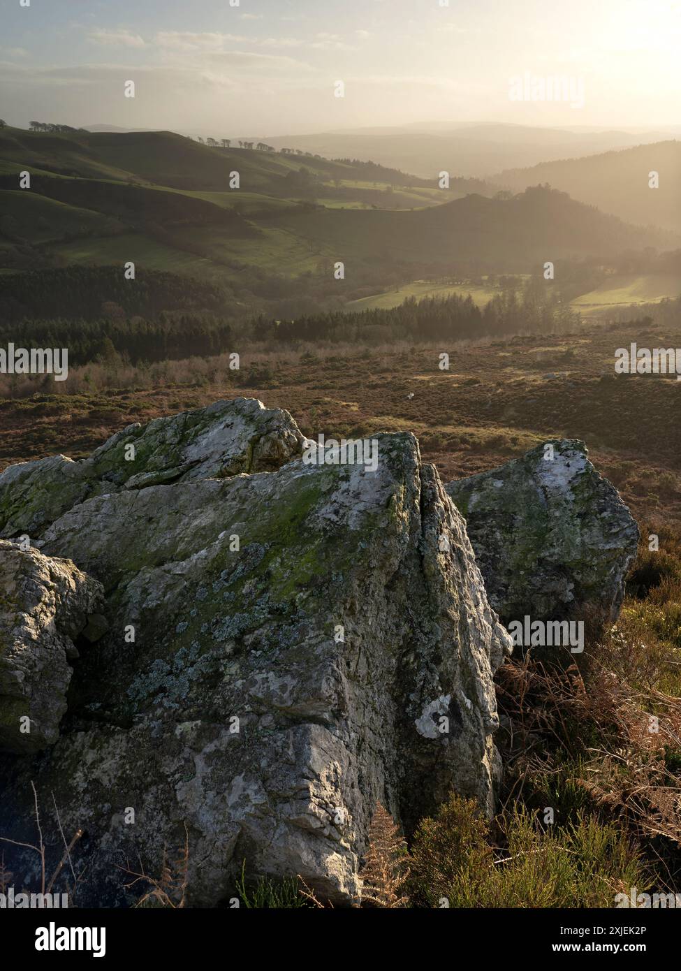 Dramatische Landschaft und Aussicht von den Stiperstones, einem freiliegenden Quarzitgrat in South Shropshire, Großbritannien Stockfoto