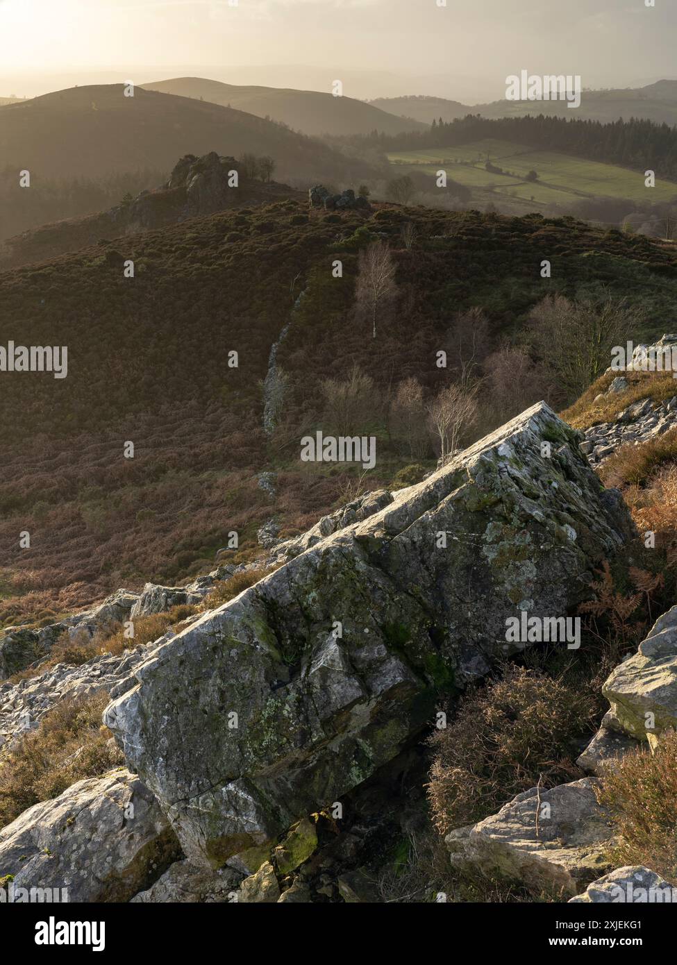 Dramatische Landschaft und Aussicht von den Stiperstones, einem freiliegenden Quarzitgrat in South Shropshire, Großbritannien Stockfoto