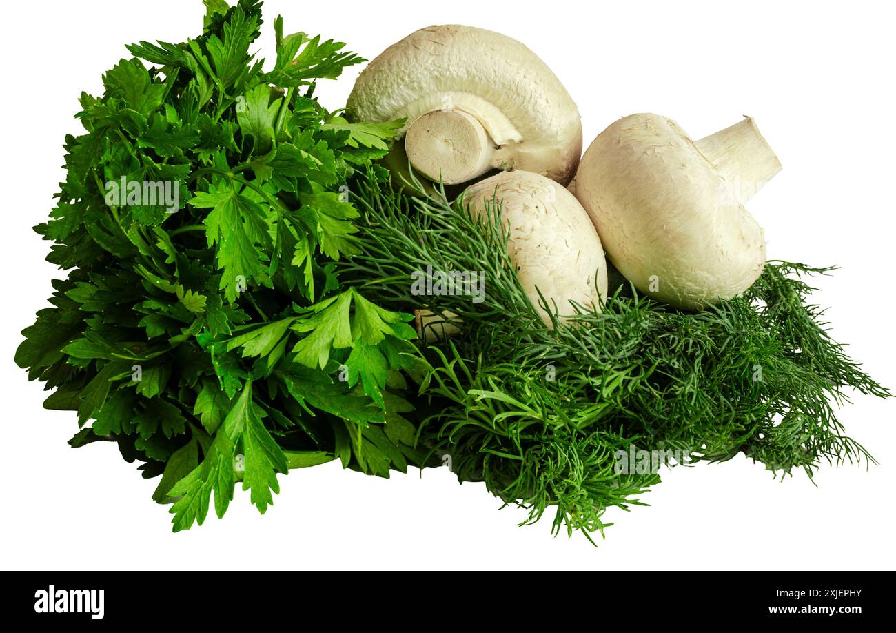 Pilze mit Petersilie isoliert auf weißem Hintergrund Stockfoto