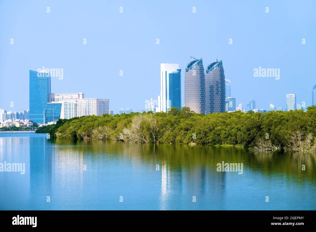 Mangroven im Persischen Golf. Vereinigte Arabische Emirate. Vor dem Hintergrund der Wolkenkratzer von Abu Dhabi Stockfoto