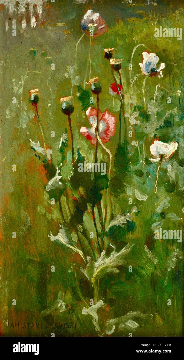 Jan Stanisawski - Mohnblume in Bloom - 1883/1890 Stockfoto