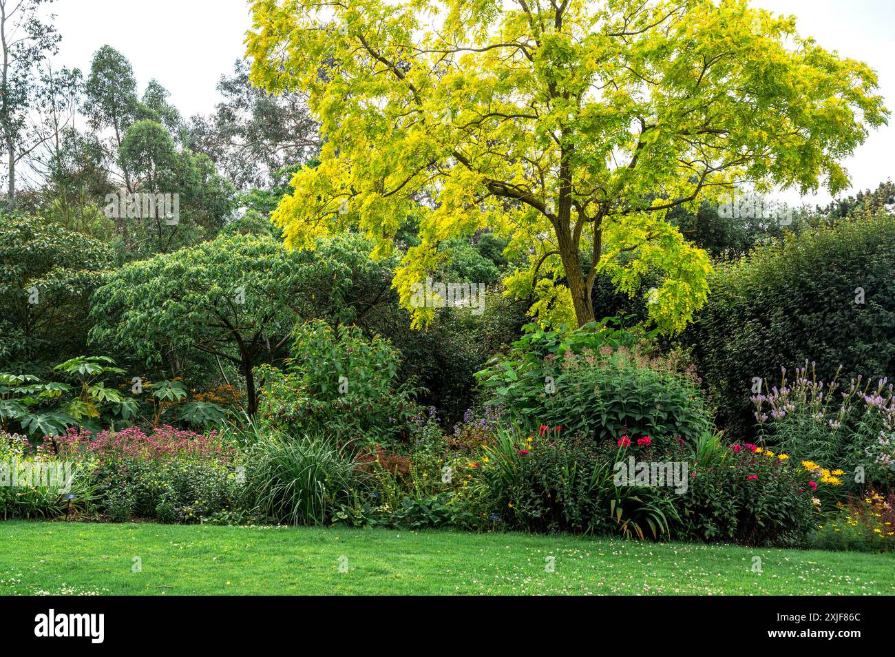 RHS, Royal Horticultural Society, Hyde Hall. Queen Mütter Garten, im Sommer. Stockfoto