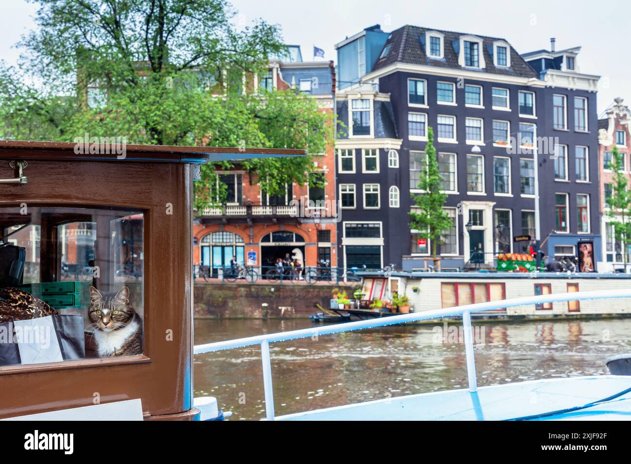 Amsterdam, Niederlande - 12. Juni 2019: Beschreibung der Katze auf dem Boot in der Amstel, Amsterdam, Niederlande. Stockfoto