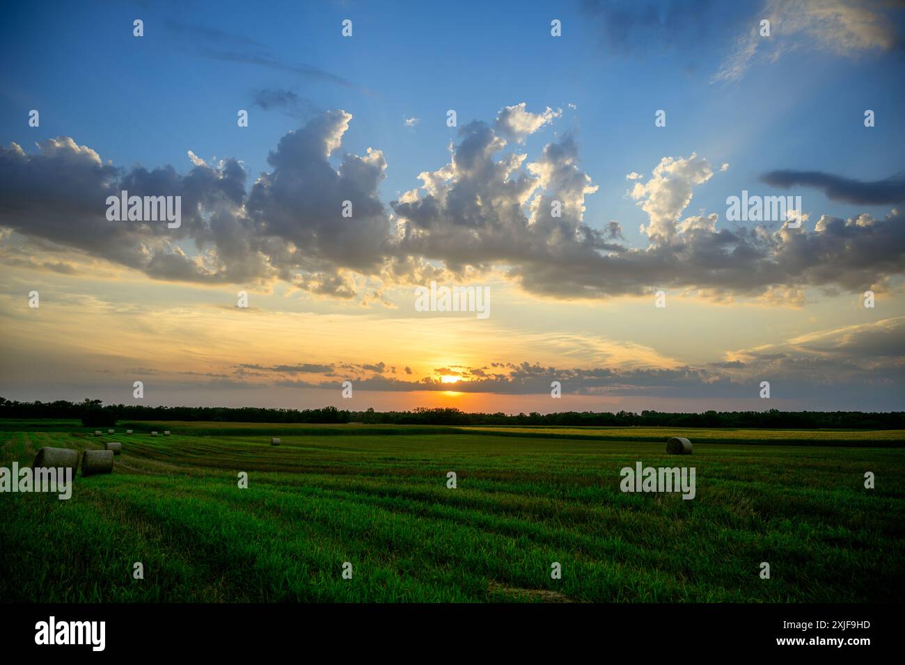 Feld "Land" bei Sonnenuntergang Stockfoto