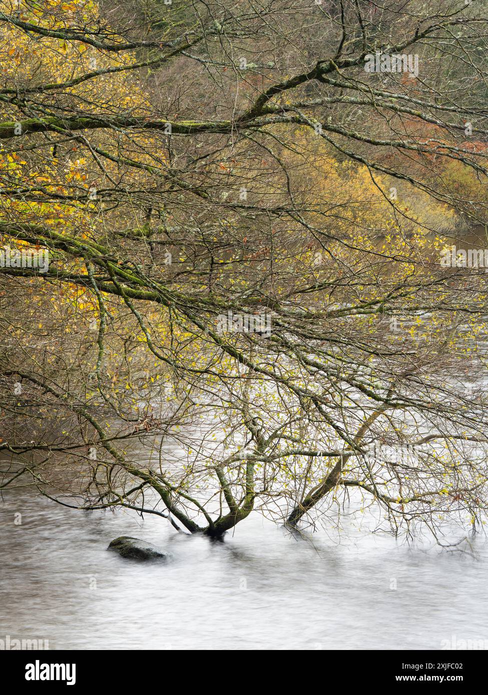 Rund um den Lake Vyrnwy im Herbst, Powys, Mid Wales, Großbritannien Stockfoto