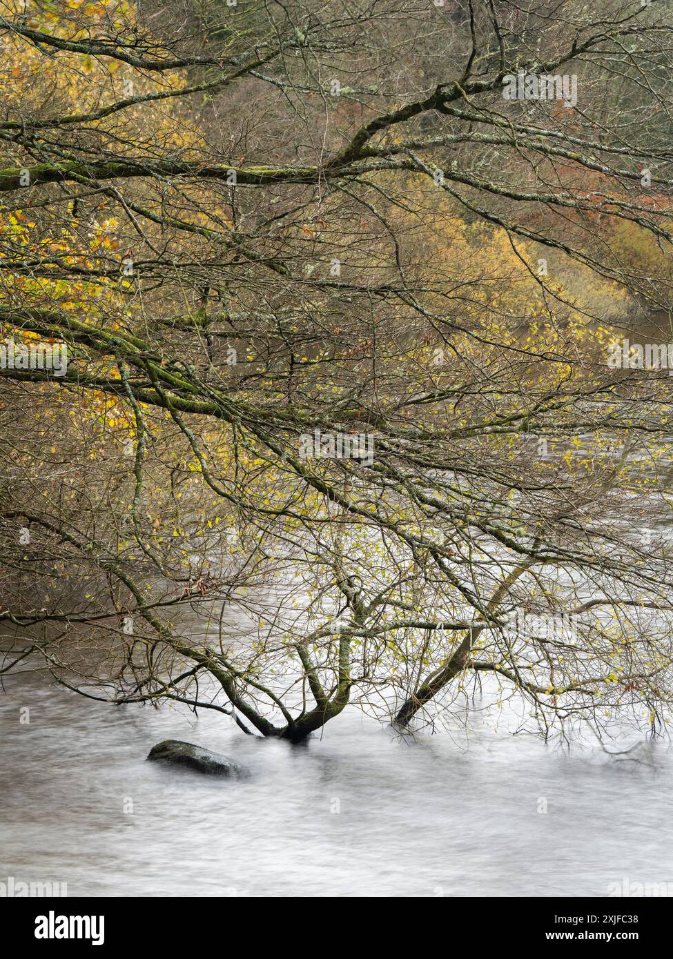 Rund um den Lake Vyrnwy im Herbst, Powys, Mid Wales, Großbritannien Stockfoto