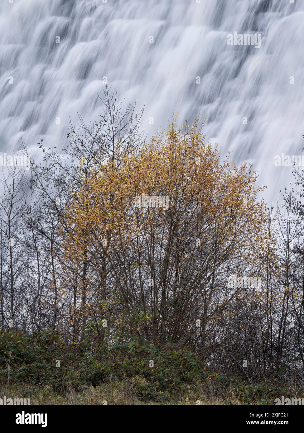 Rund um den Lake Vyrnwy im Herbst, Powys, Mid Wales, Großbritannien Stockfoto