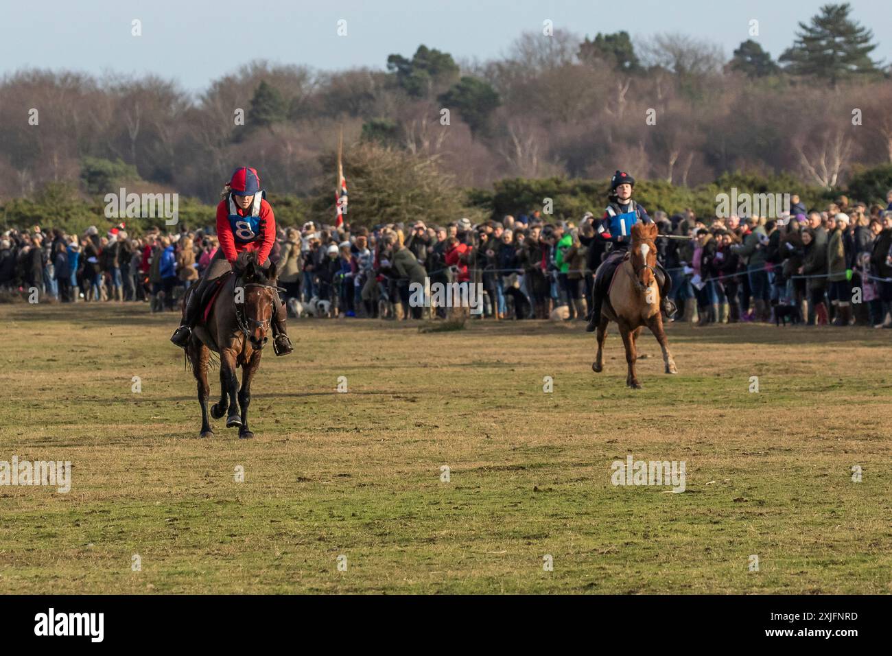 Jährliches New Forest Point-to-Point-Rennen, New Forest Tradition Boxing Day 2016 Stockfoto