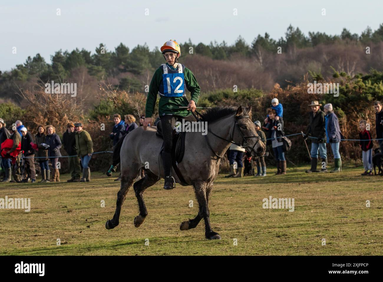 Jährliches New Forest Point-to-Point-Rennen, New Forest Tradition Boxing Day 2016 Stockfoto