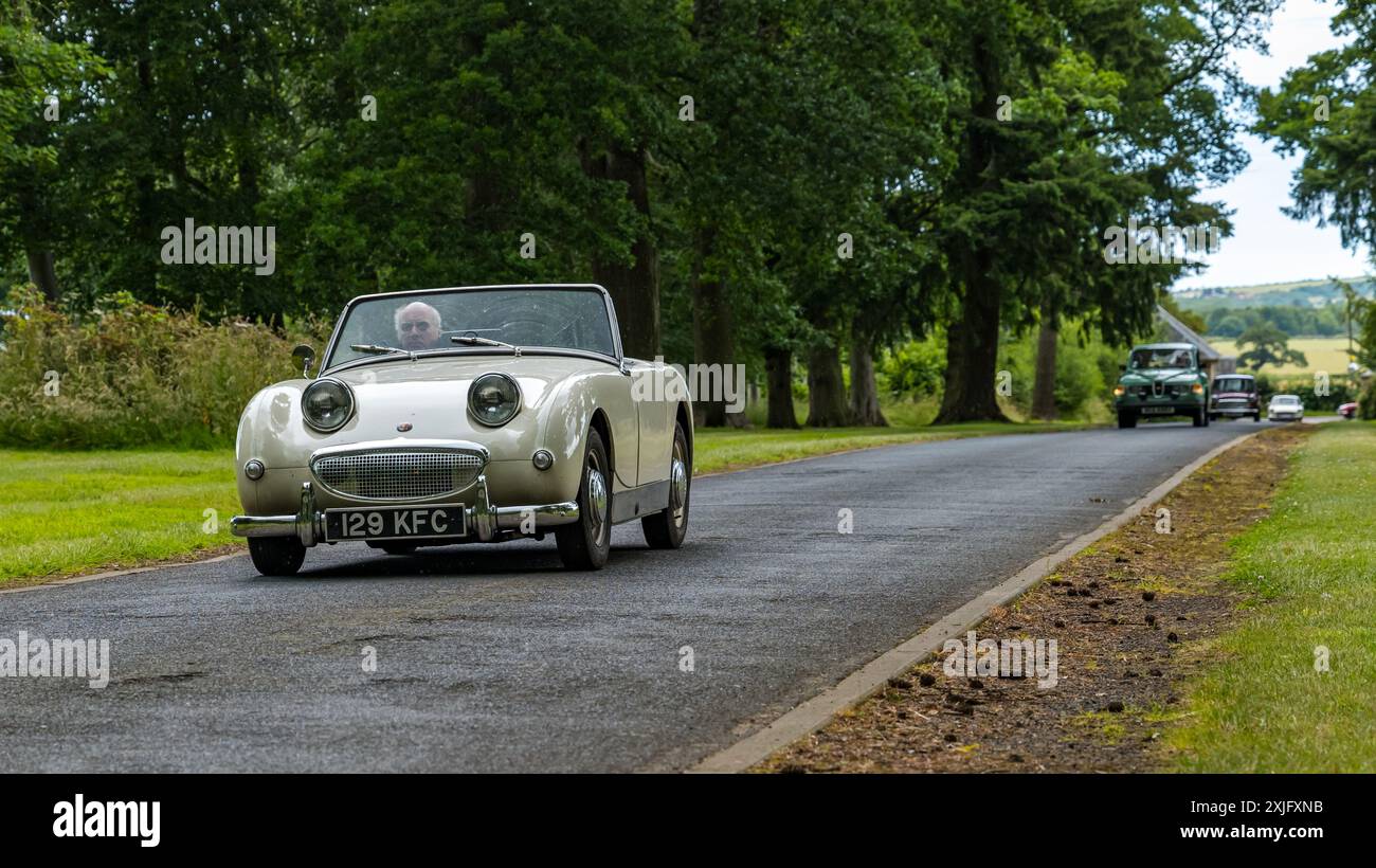 Ein Oldtimer von Austin Healey Frogeye aus dem Jahr 1960, der auf der Einfahrt in Lennoxlove Estate, East Lothian, Schottland, Großbritannien fährt Stockfoto