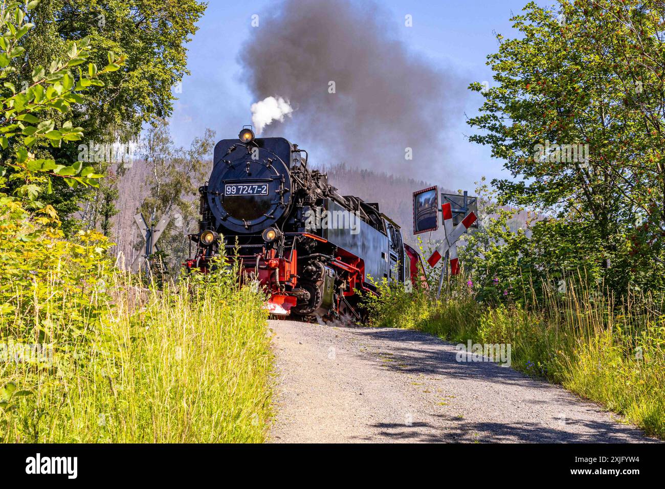 Harz, Deutschland 15. Juli 2024: Im Bild: Mit der Dampflok täglich auf den Brocken. Die Harzer Schmalspurbahn, HSB, fährt täglich Touristen auf den Broken im Harz. Hier die Dampflok 99 7247-2 auf dem Weg zum Brocken kurz vor Schierke an einem Bahnübergang. Harz *** Harz, Deutschland 15. Juli 2024 auf dem Bild mit der Dampflok den Brocken hinauf jeden Tag die Harzer Schmalspurbahn, HSB, bringt Touristen jeden Tag die kaputte im Harz hinauf hier die Dampflok 99 7247 2 auf ihren Weg zum Brocken kurz vor Schierke an einem Bahnübergang Harz Copyright: xFotostandx/xReissx Stockfoto