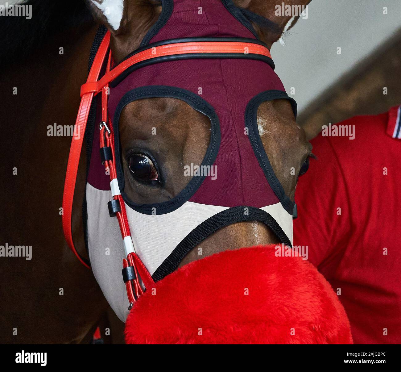 hippodrom der Stadt buenos aires Stockfoto