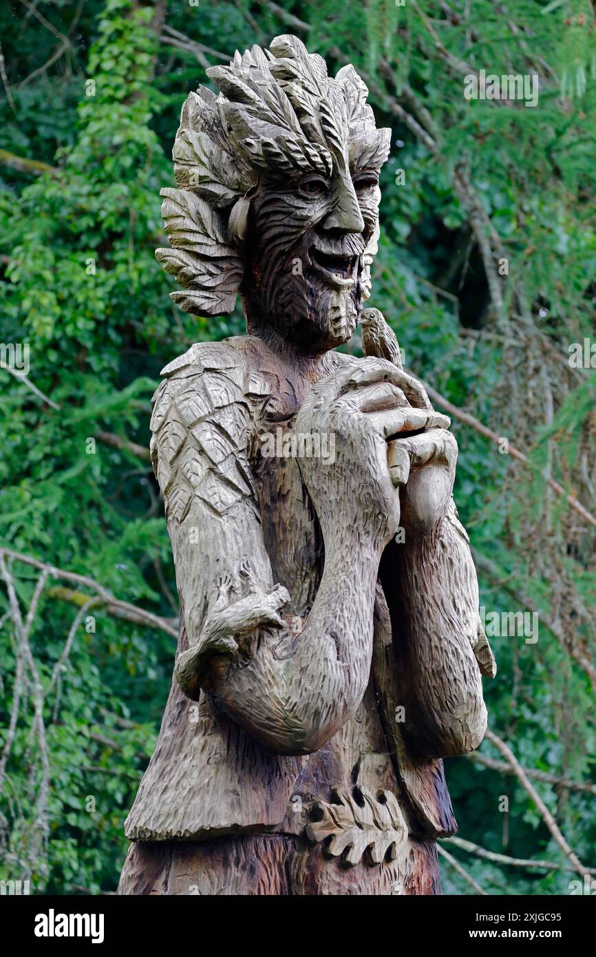 Geschnitzte, hölzerne Riesenmensch-Naturfigur im Forest Farm Country Park in Cardiff, Südwales. Sommer Juli 2024 Stockfoto