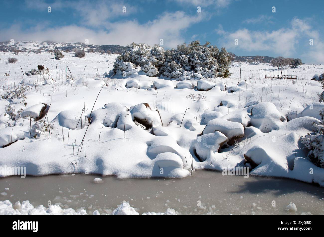Schneeszene in den Golanhöhen, Israel Stockfoto