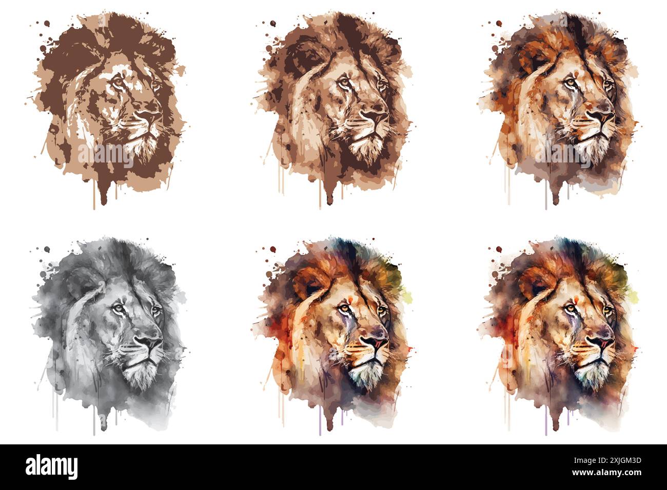 Aquarelllöwen-Vektor-Illustration Stock Vektor