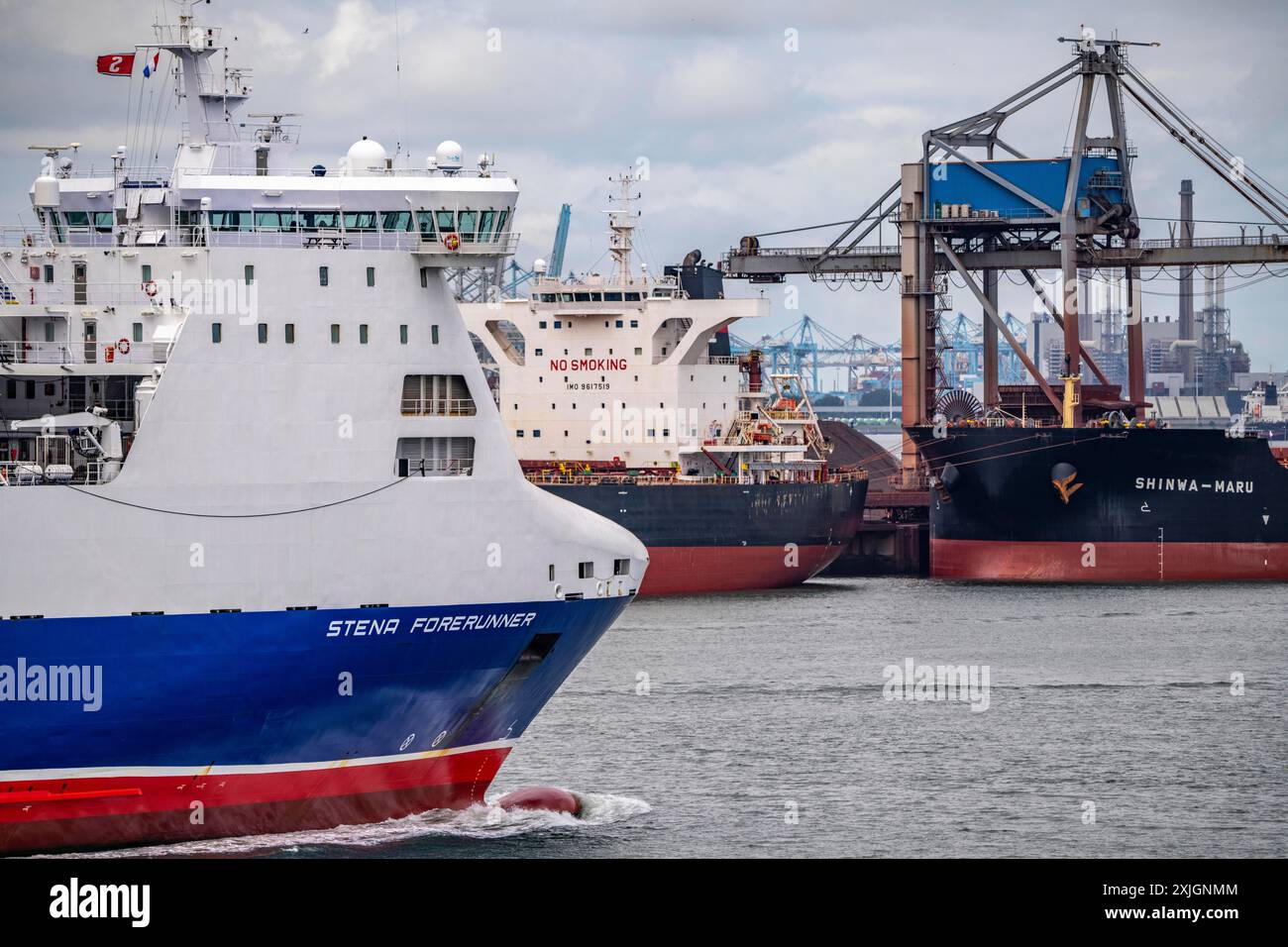 Fähre Stean Forerunner, Verlust der Hafen, Massengutfrachter, Frachtschiff für Massengüter wie Kohle, Erze, Sand, wird im Hafen Rotterdam, Maa, entladen Stockfoto