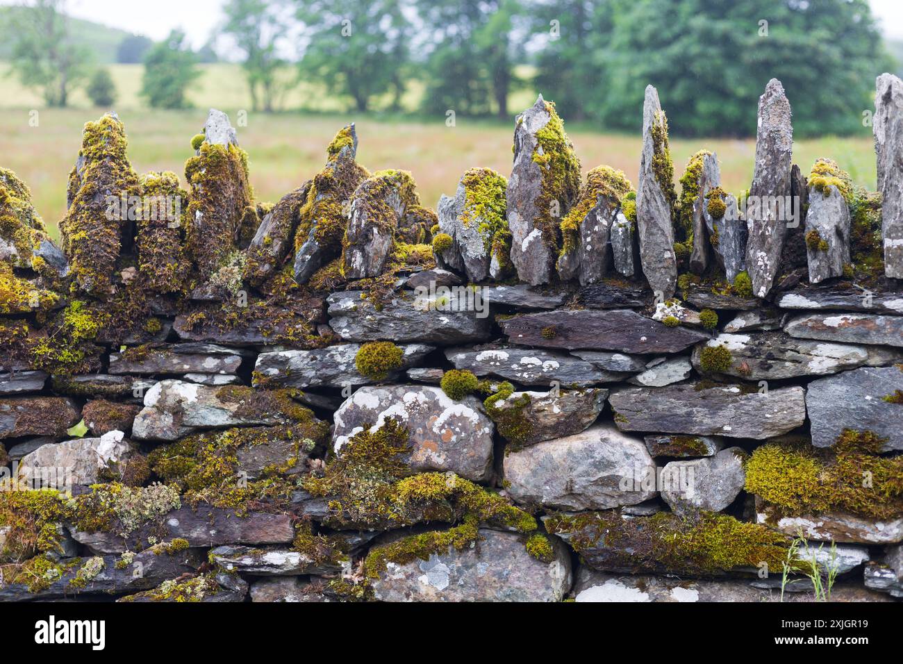 Eine traditionelle Dray Stone Mauer in einer schottischen Landschaft Stockfoto