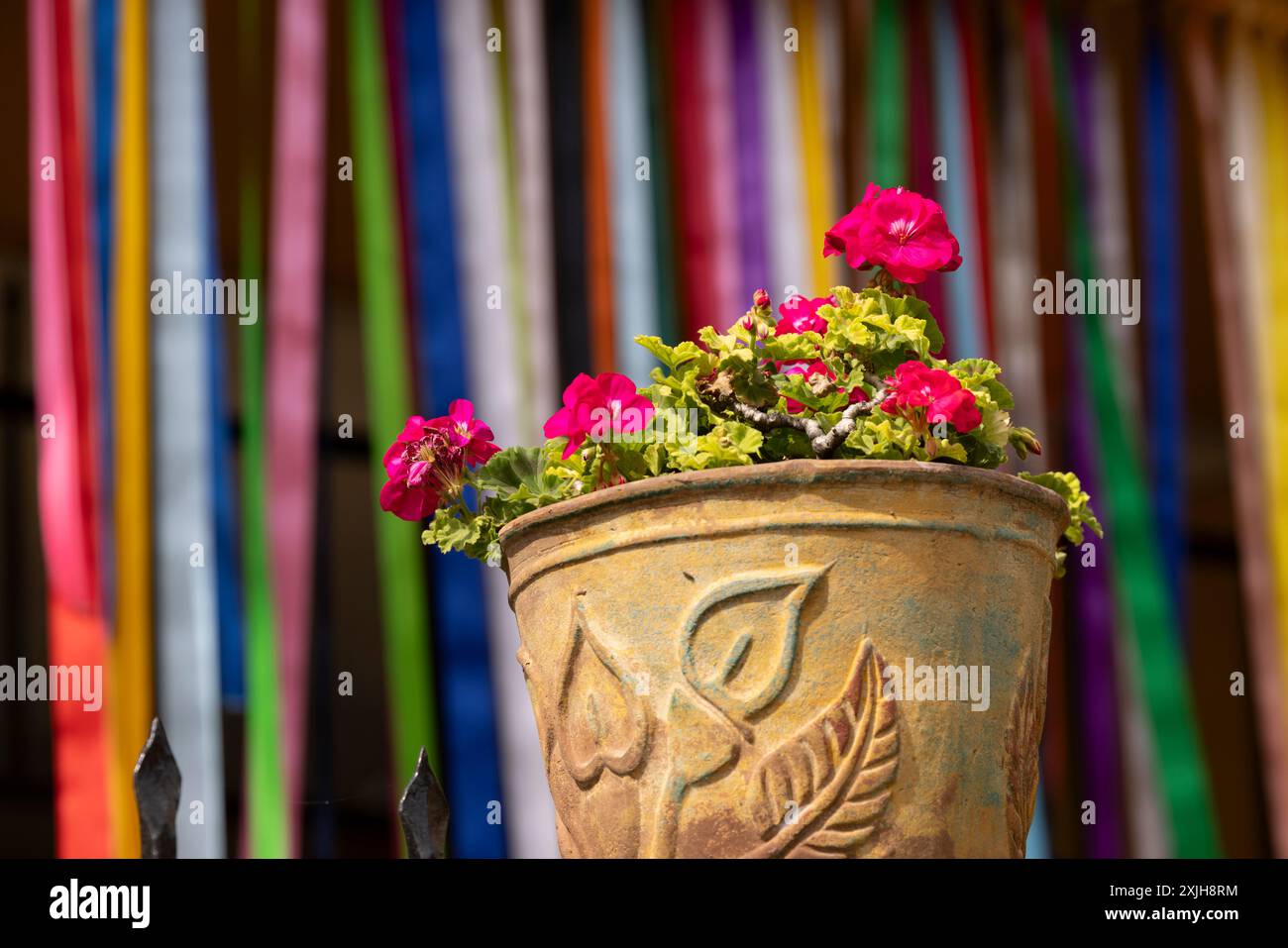 Blumen umgeben eine farbenfrohe Landschaft im Zentrum von Ajijic, Jalisco, Mexiko. Stockfoto