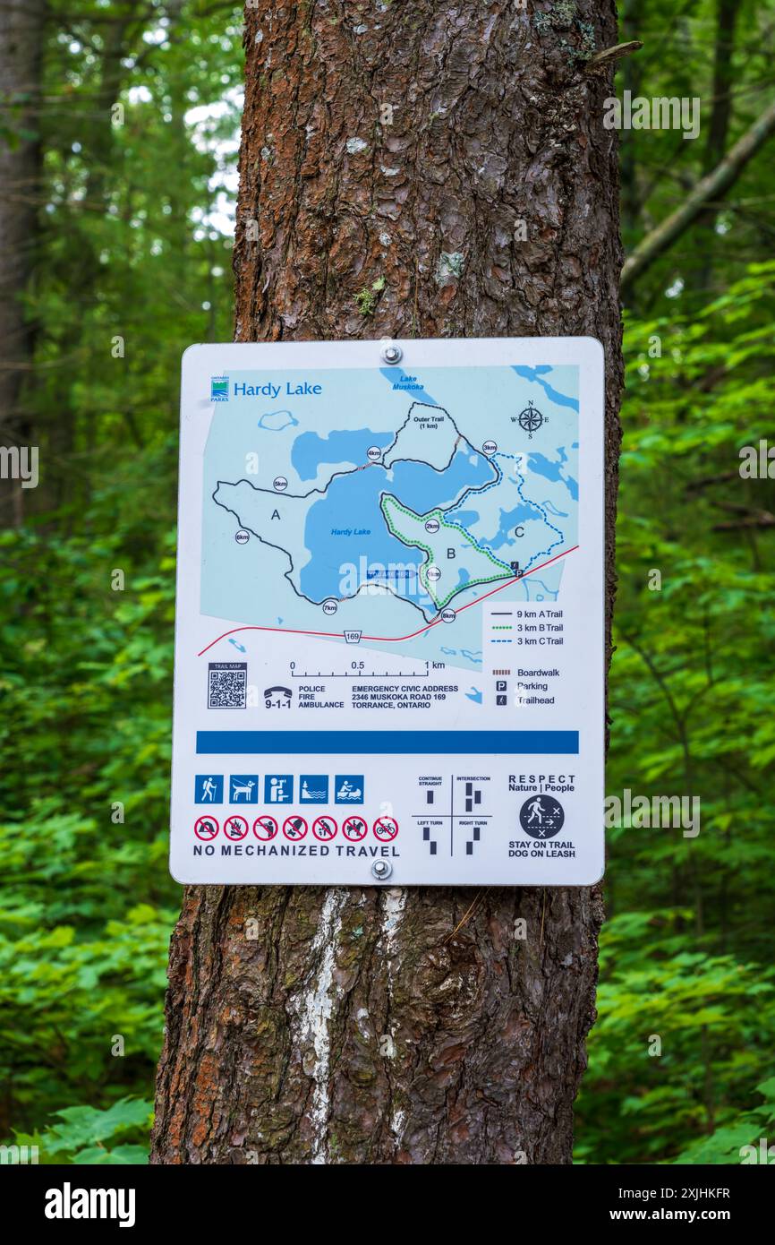 Mit mehreren malerischen Wanderwegen ist der Hardy Lake Provincial Park ein beliebtes Touristenziel im Bezirk Muskoka. Stockfoto