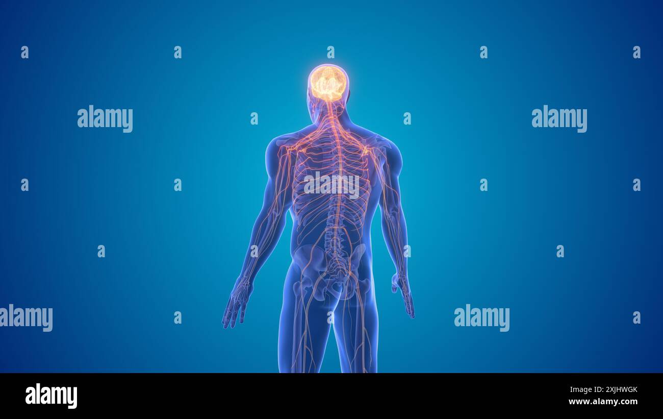 Zentralnervöse Symptome des Morbus Parkinson Stockfoto